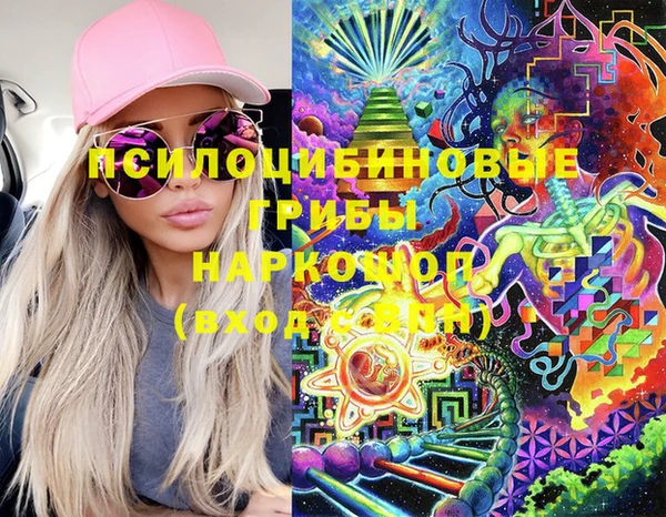 марки lsd Белокуриха