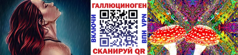 Псилоцибиновые грибы мухоморы  Курильск 